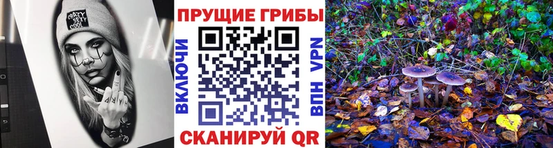 OMG маркетплейс  Макушино  Галлюциногенные грибы мицелий 